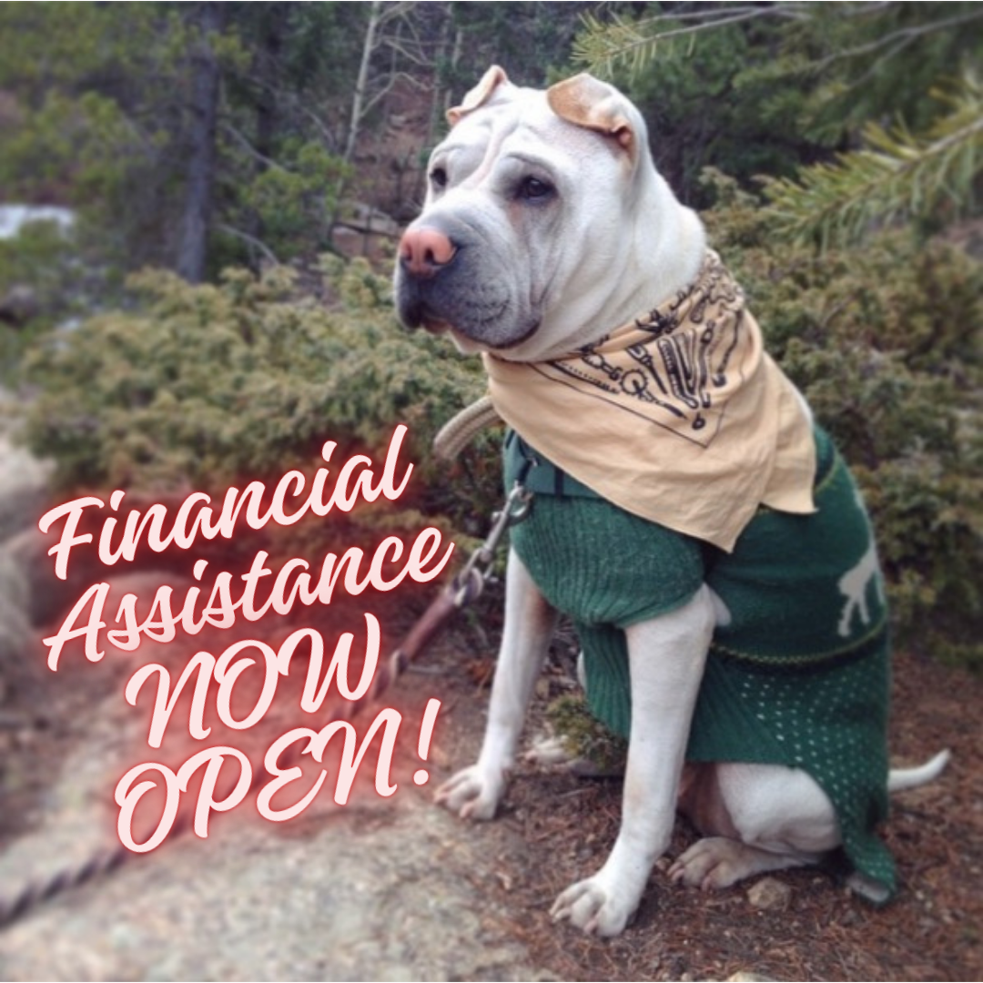 Financial Assistance is Officially Open!