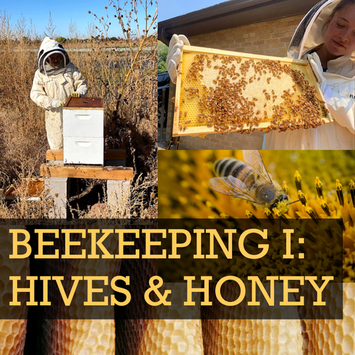 Class Spotlight! Beekeeping I: Hives and Honey Class