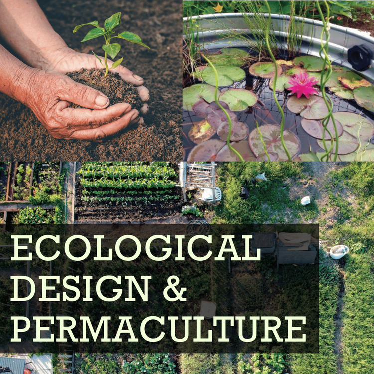Ecological Design &amp; Permaculture 