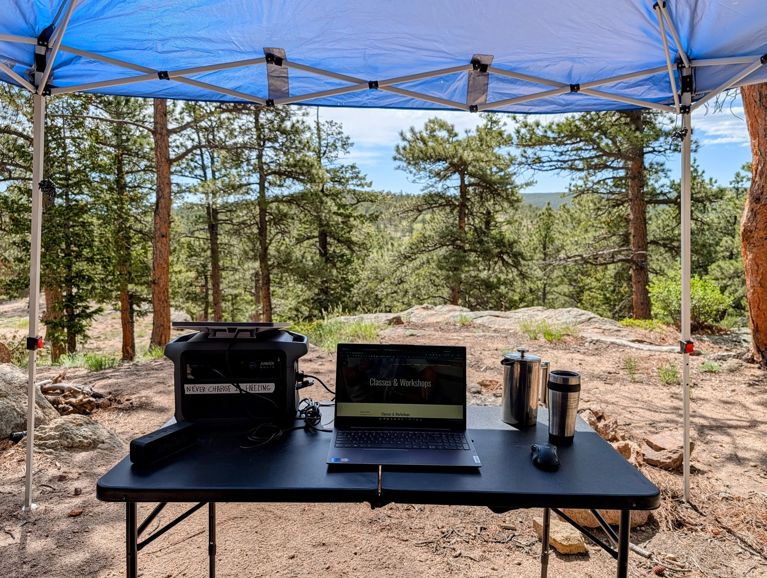 This newsletter brought to you by the woods