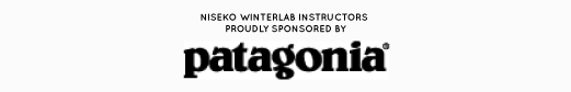 Patagonia Sponsor Tag wide.png
