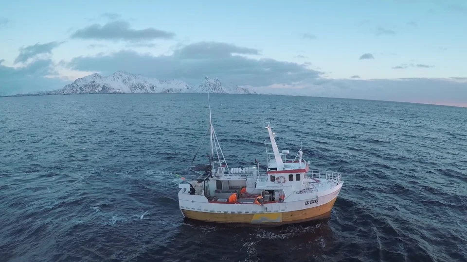 arctic 01.jpg