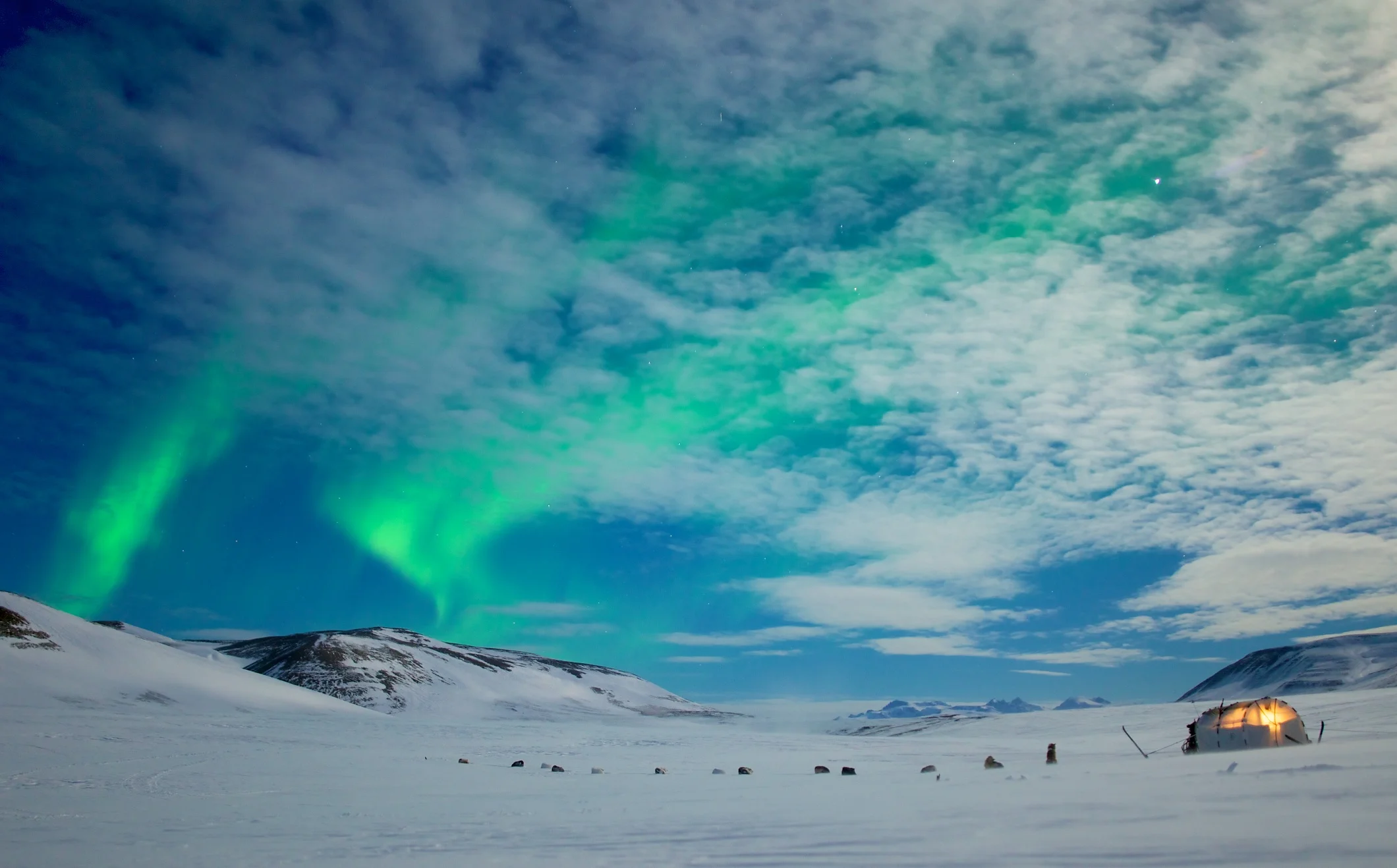 arctic 03.jpg