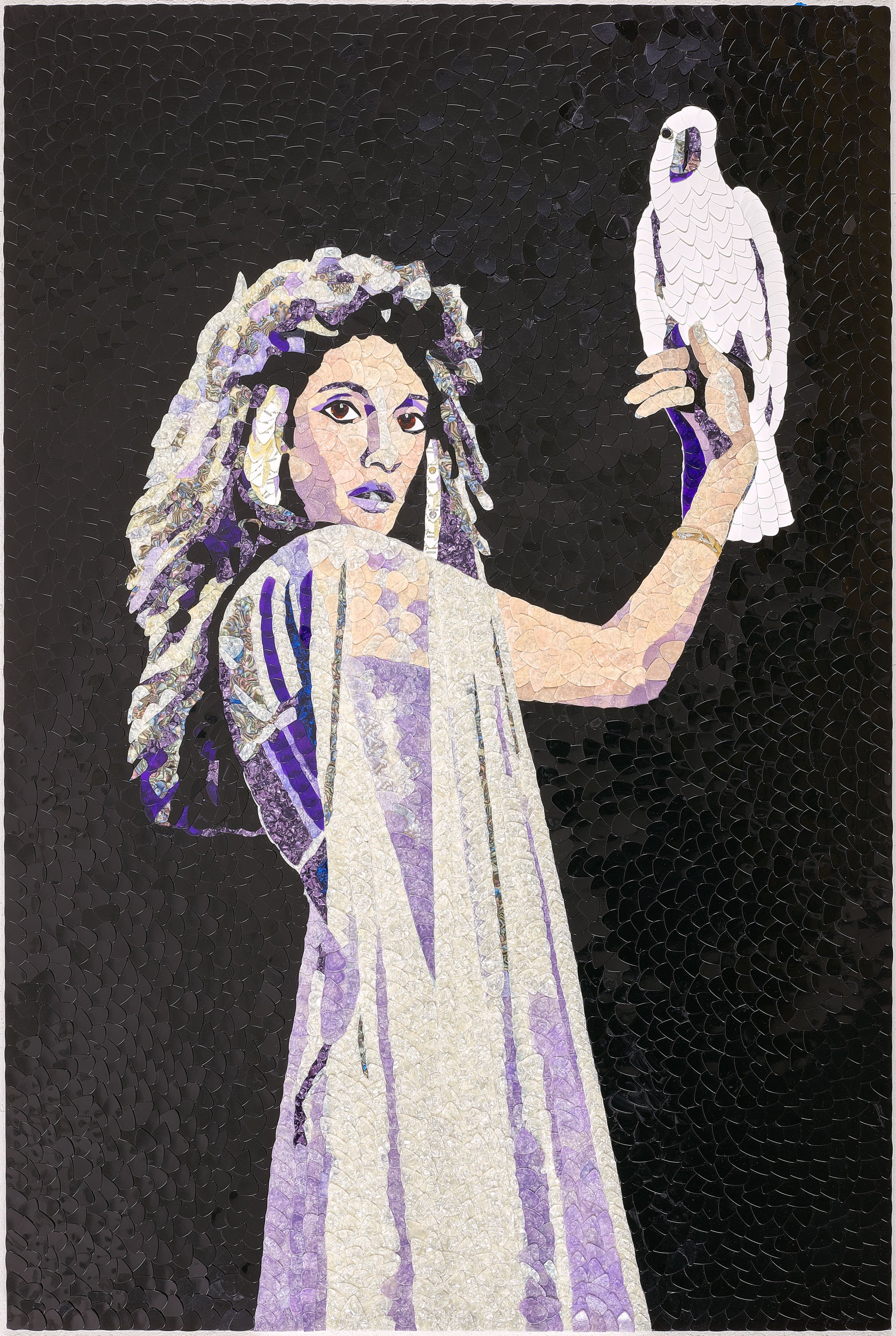 “ Bella Donna “ Stevie Nicks
