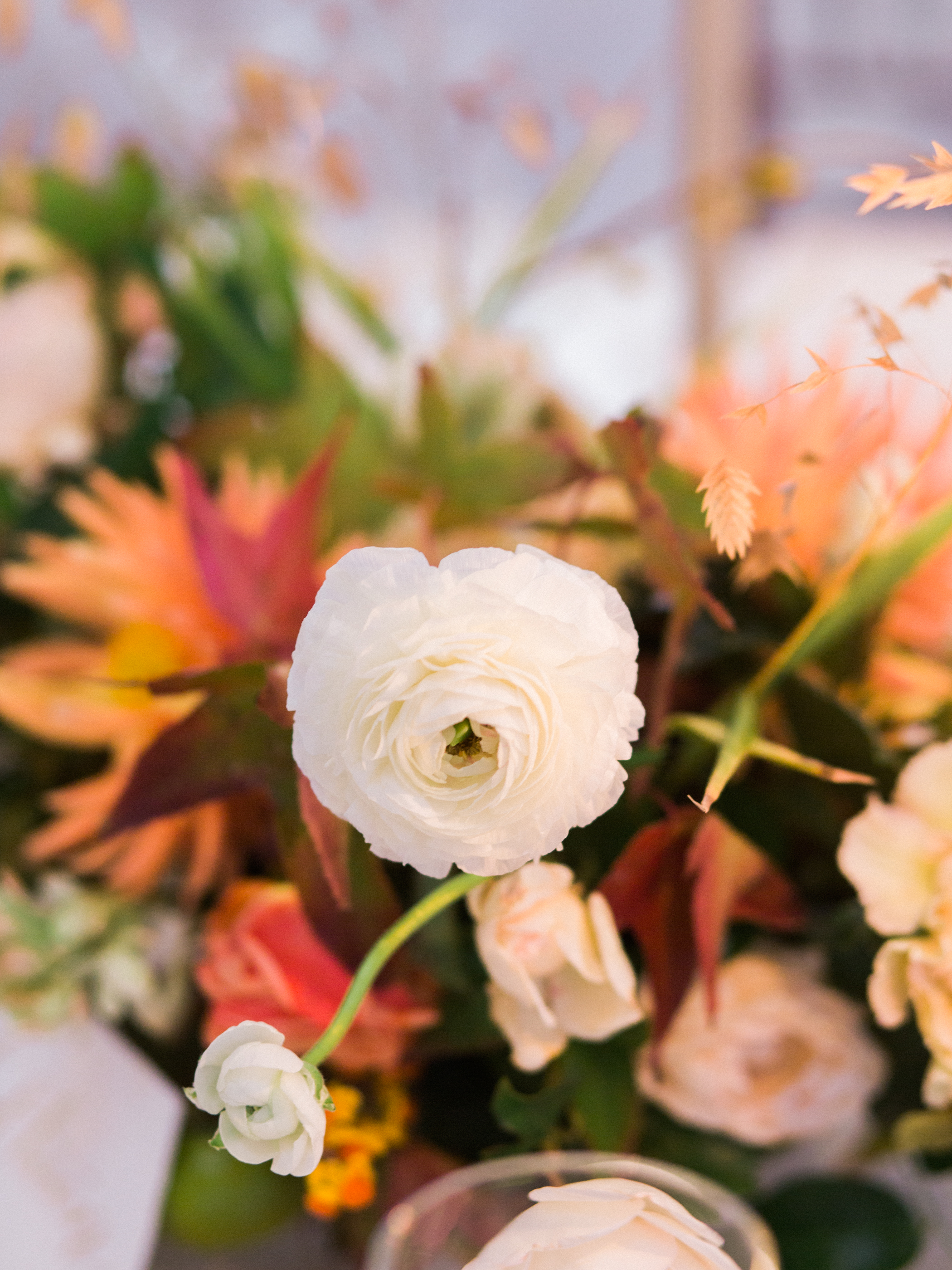 Pippin Hill Wedding Florist Wild Green Yonder