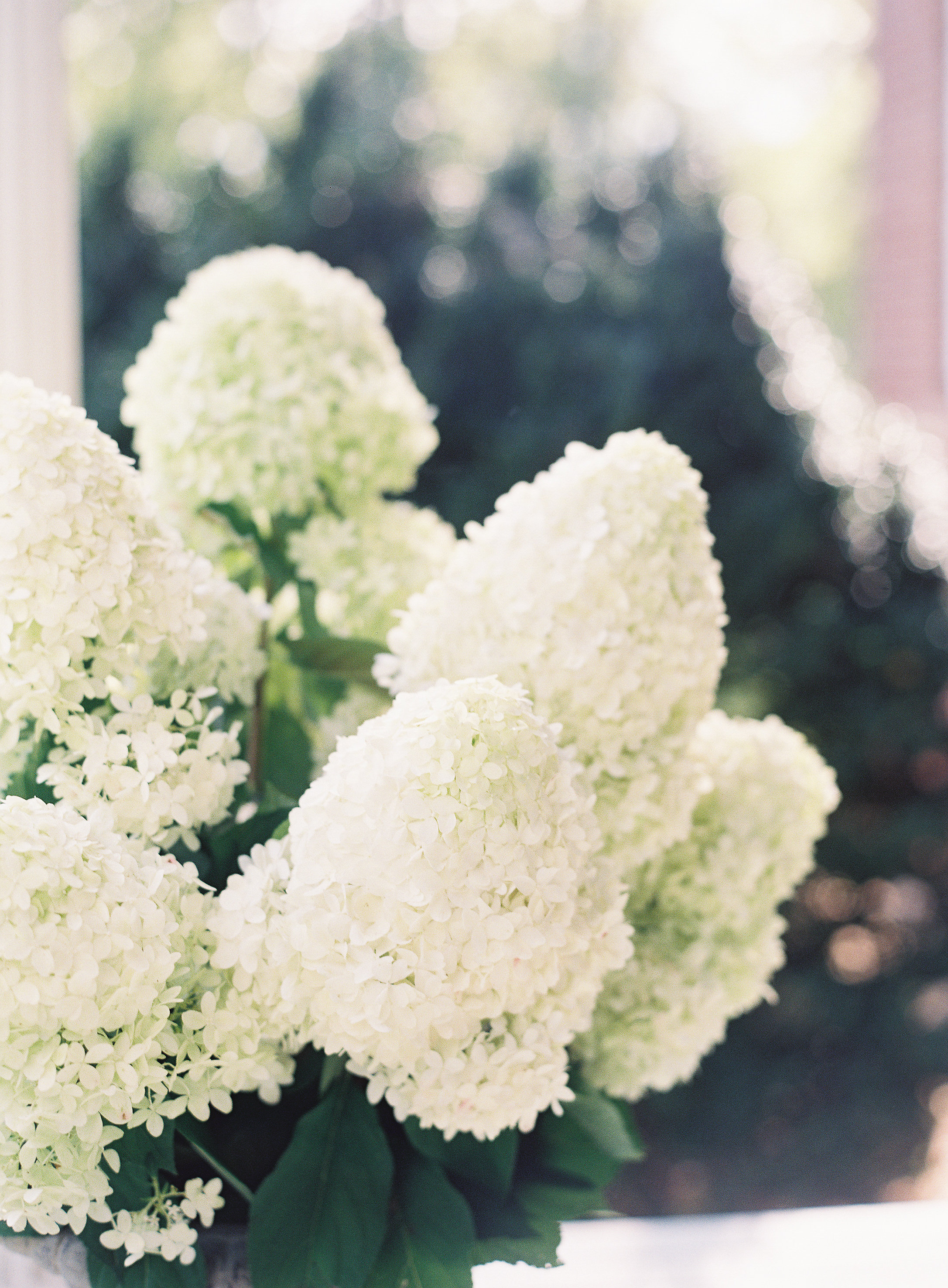 Virginia Wedding Florist Wild Green Yonder
