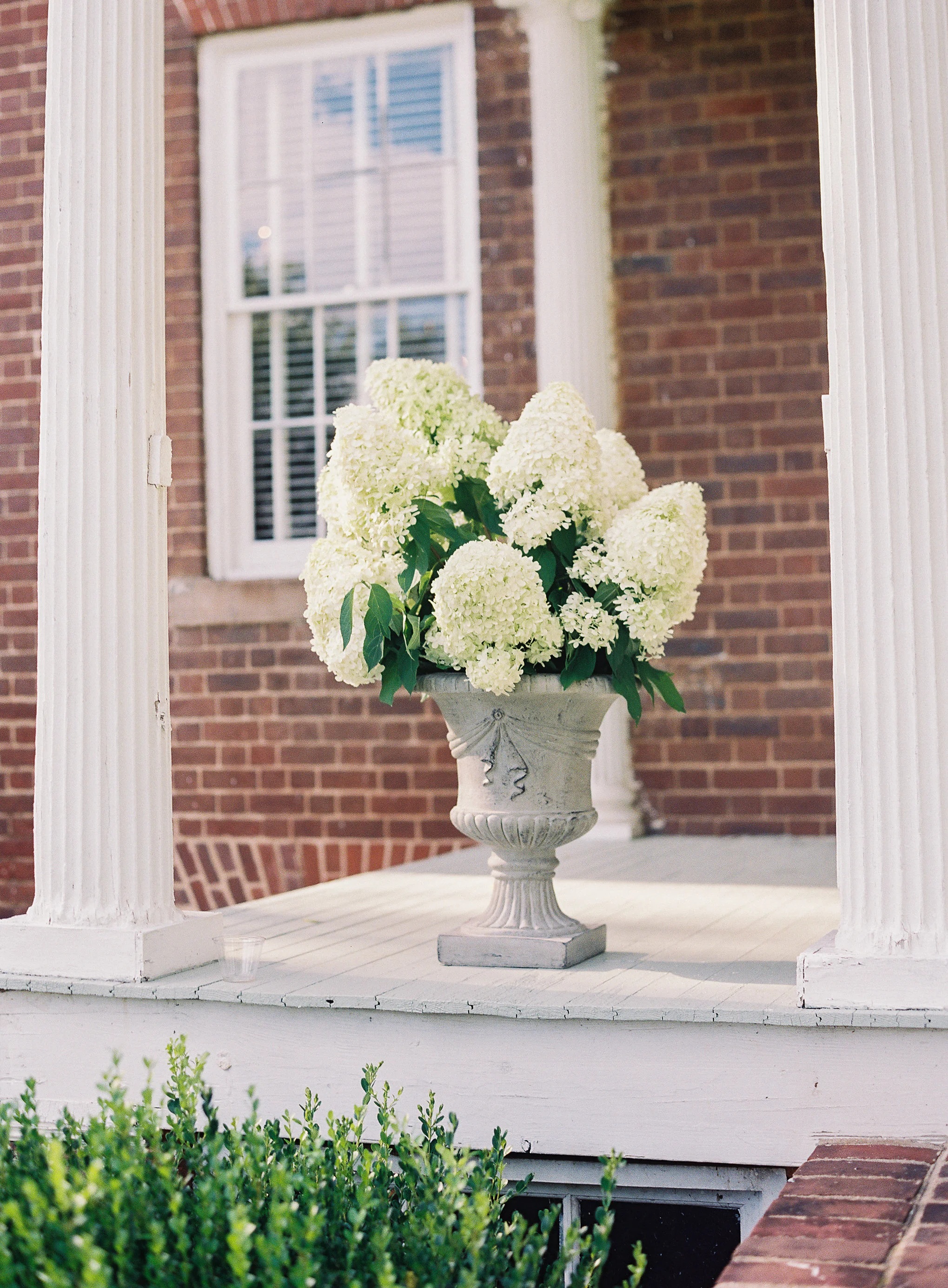 Virginia Wedding Florist Wild Green Yonder