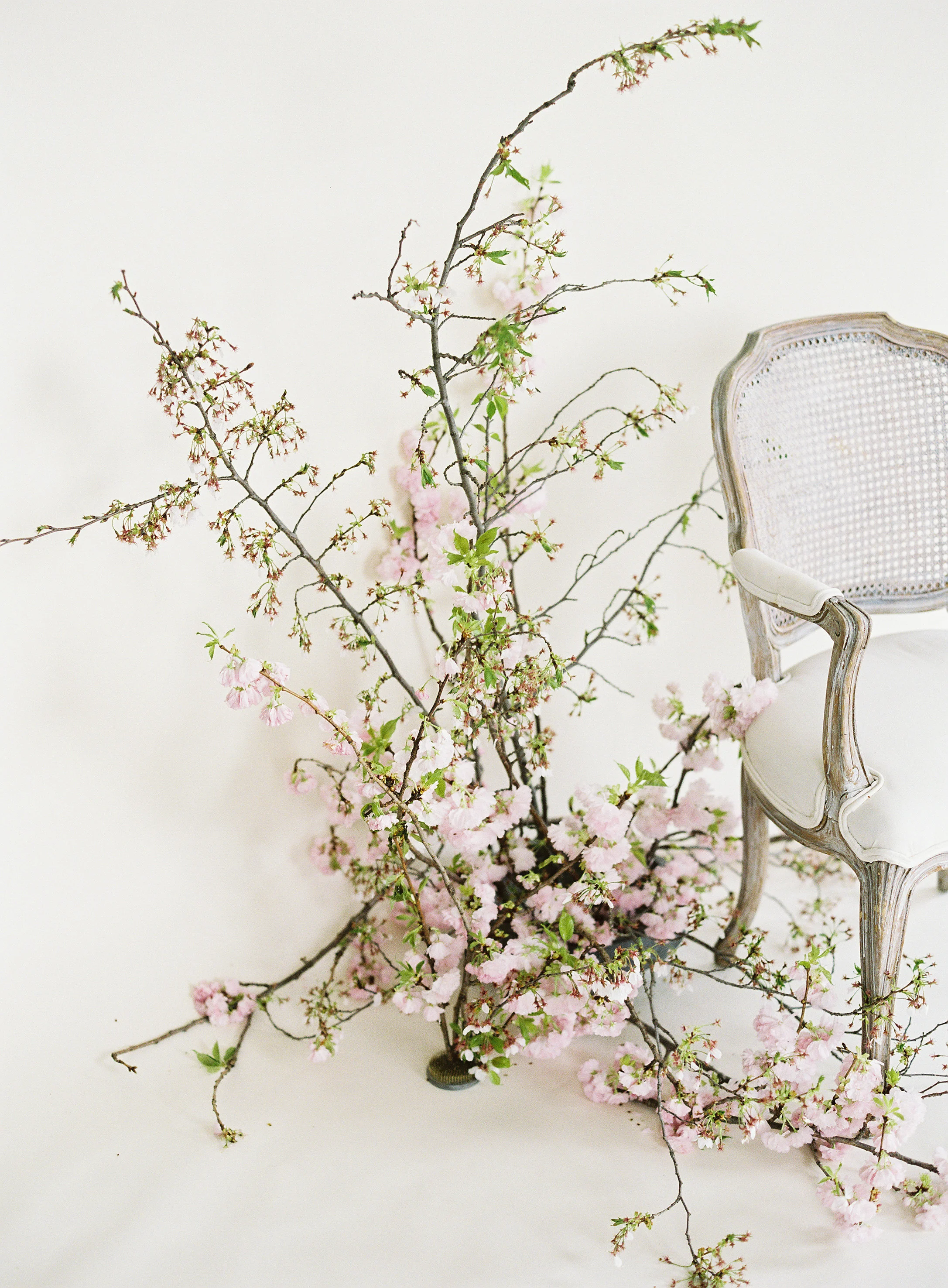 Wild Green Yonder_Virginia Wedding Flowers_135.jpg