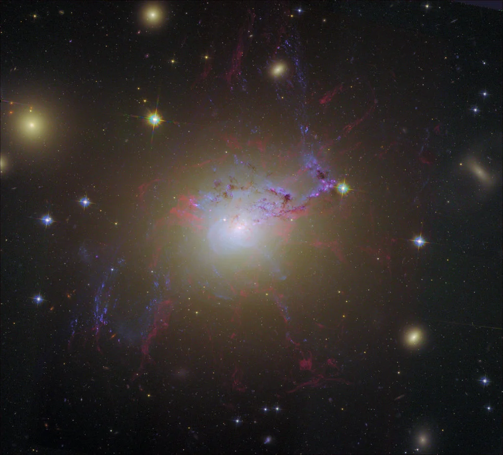 An Earthling’s Guide to Black Holes