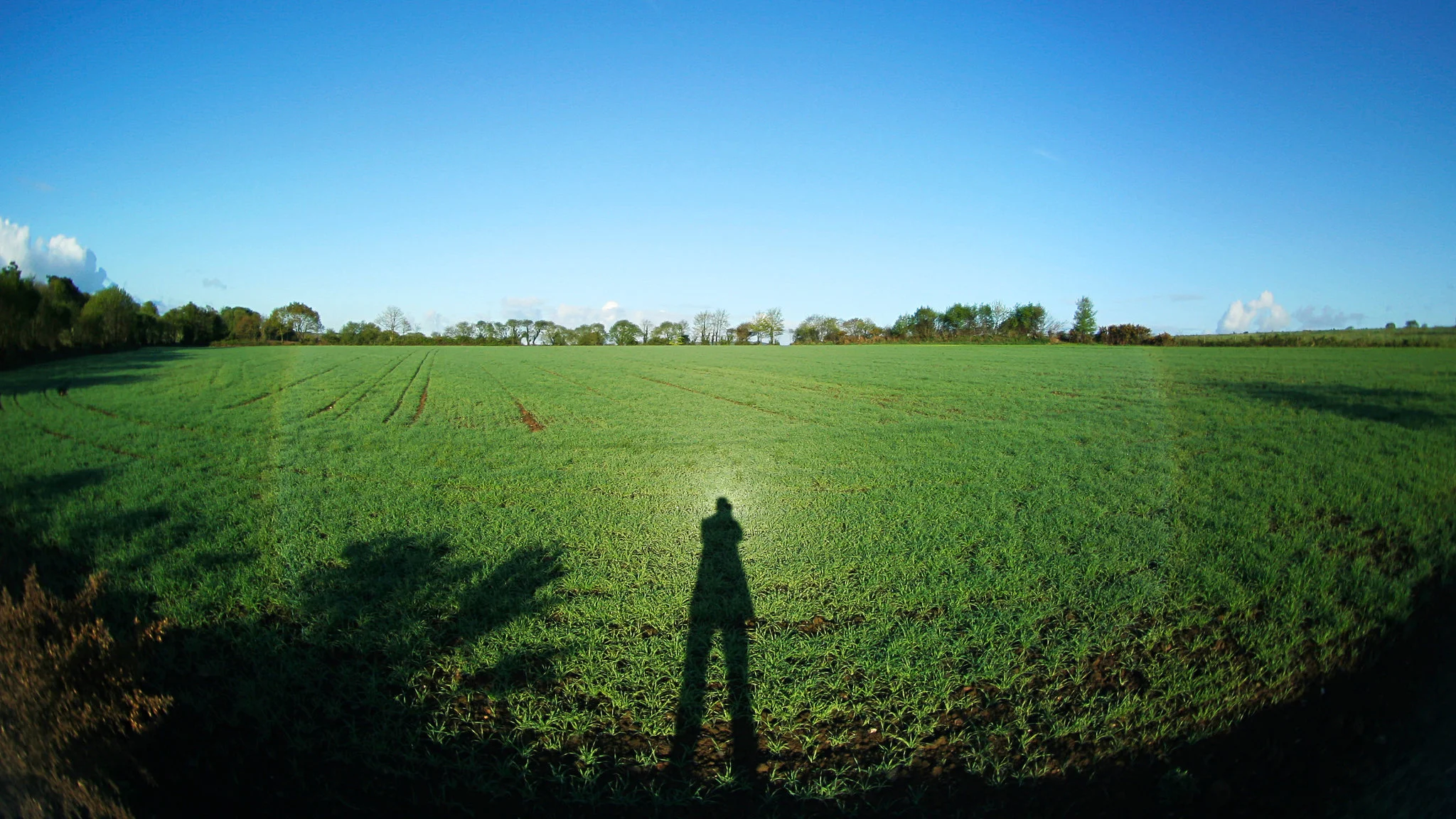 How to Become a Shadow Angel in the Morning Dew