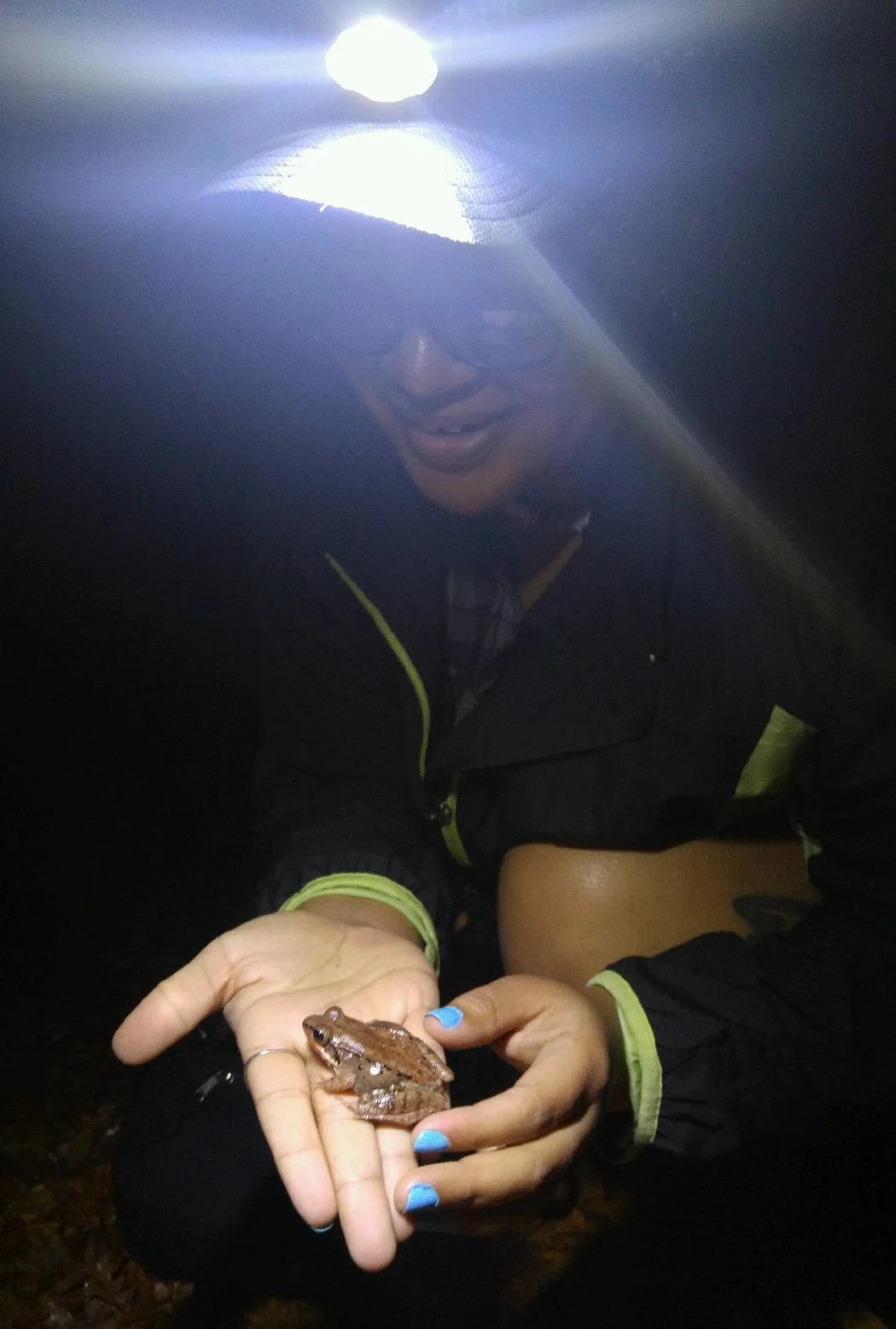 Spring Amphibians, On the Move, Could Use Some Crossing Guards