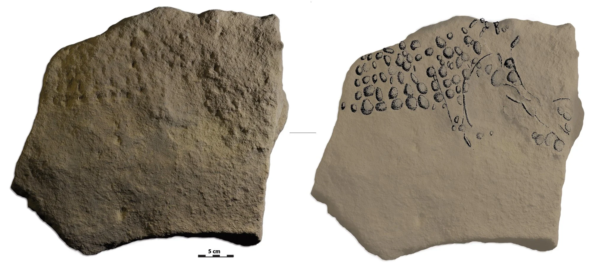 In the Caves of Ancient Humans, Stories Told Dot By Dot