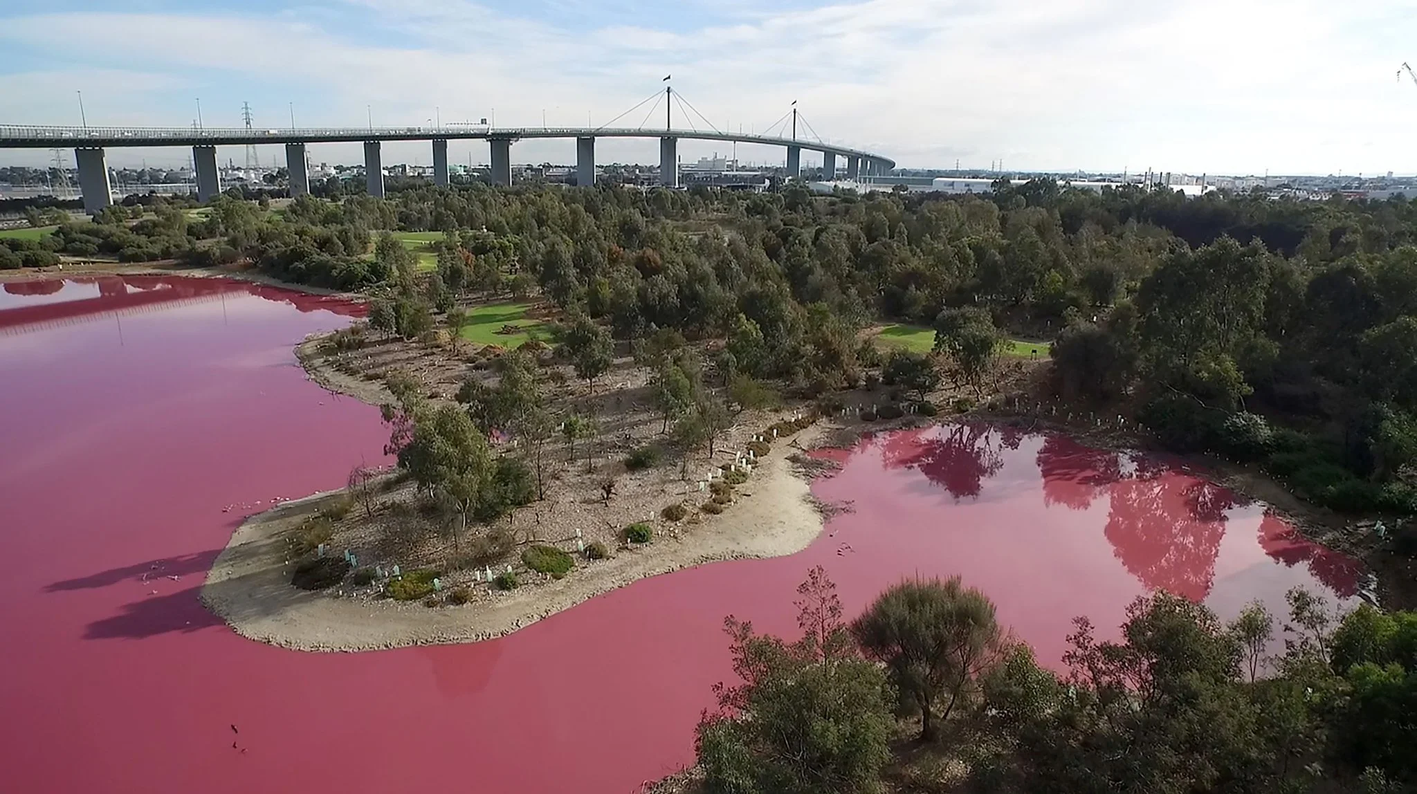 A Lake Turned Pink in Australia. It’s Not The Only One
