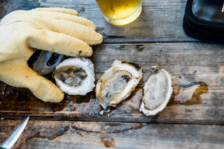 Oysters, Despite What You’ve Heard, Are Always In Season