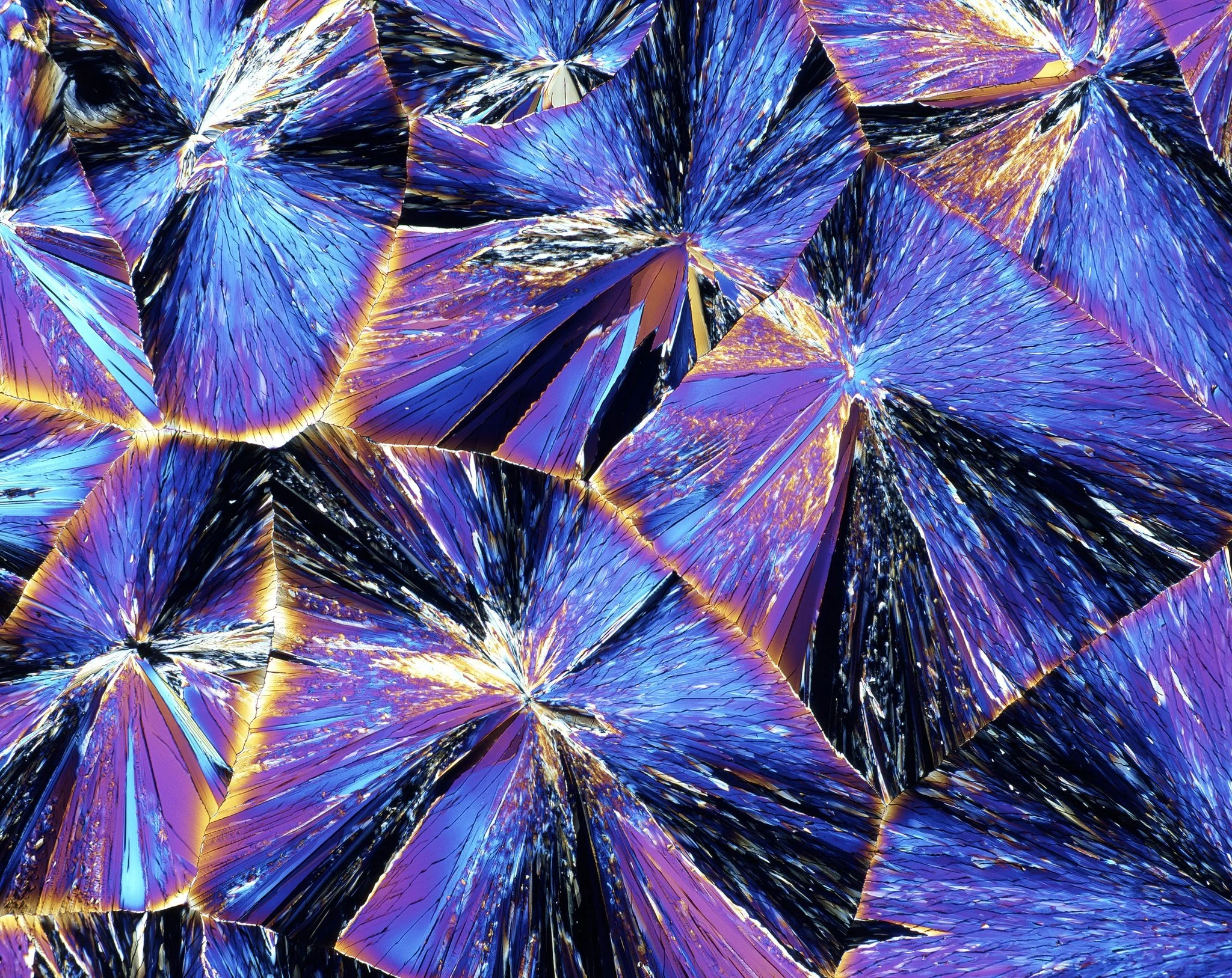 How Pasteur’s Artistic Insight Changed Chemistry