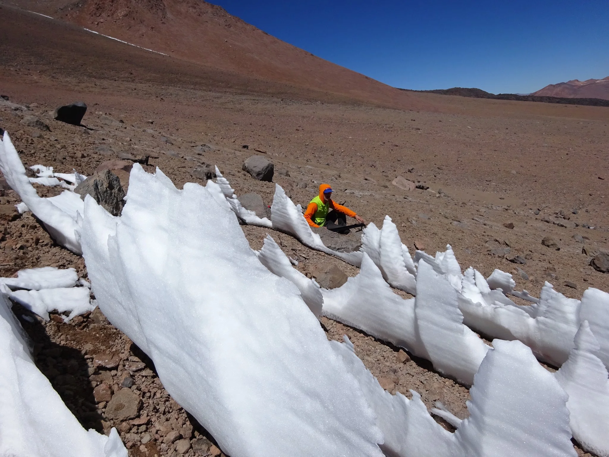 If Algae Clings to Snow on This Volcano, Can It Grow on Other Desolate Worlds?