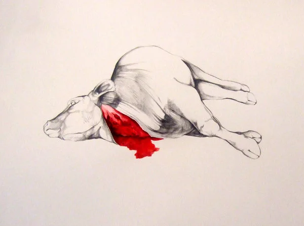 Calf