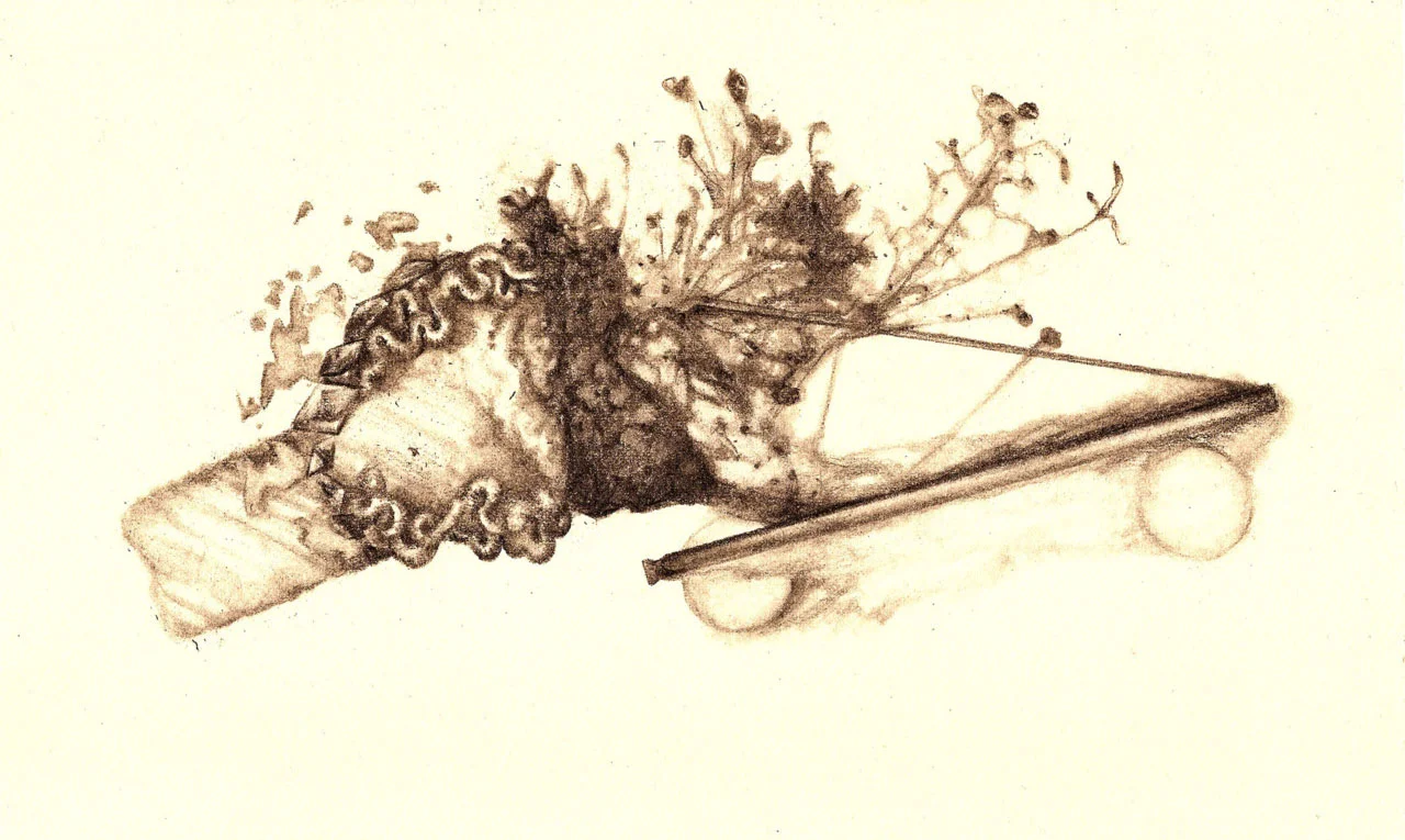 Form VII