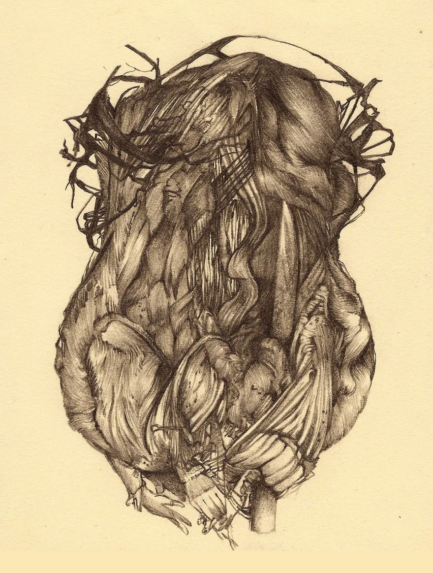 Form II