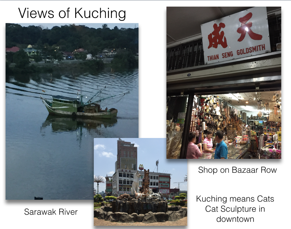  Clockwise t he view of the Sarawak River from my hotel room in Kuching - breathtaking. There are many shops like this one with lots of hidden treasures (including beads) on Bazaar Row. Bazaar Row is the main street that runs parallel to the river. Then there are the statues of cats every where as the city's name 'Kuching' when translated means cats.