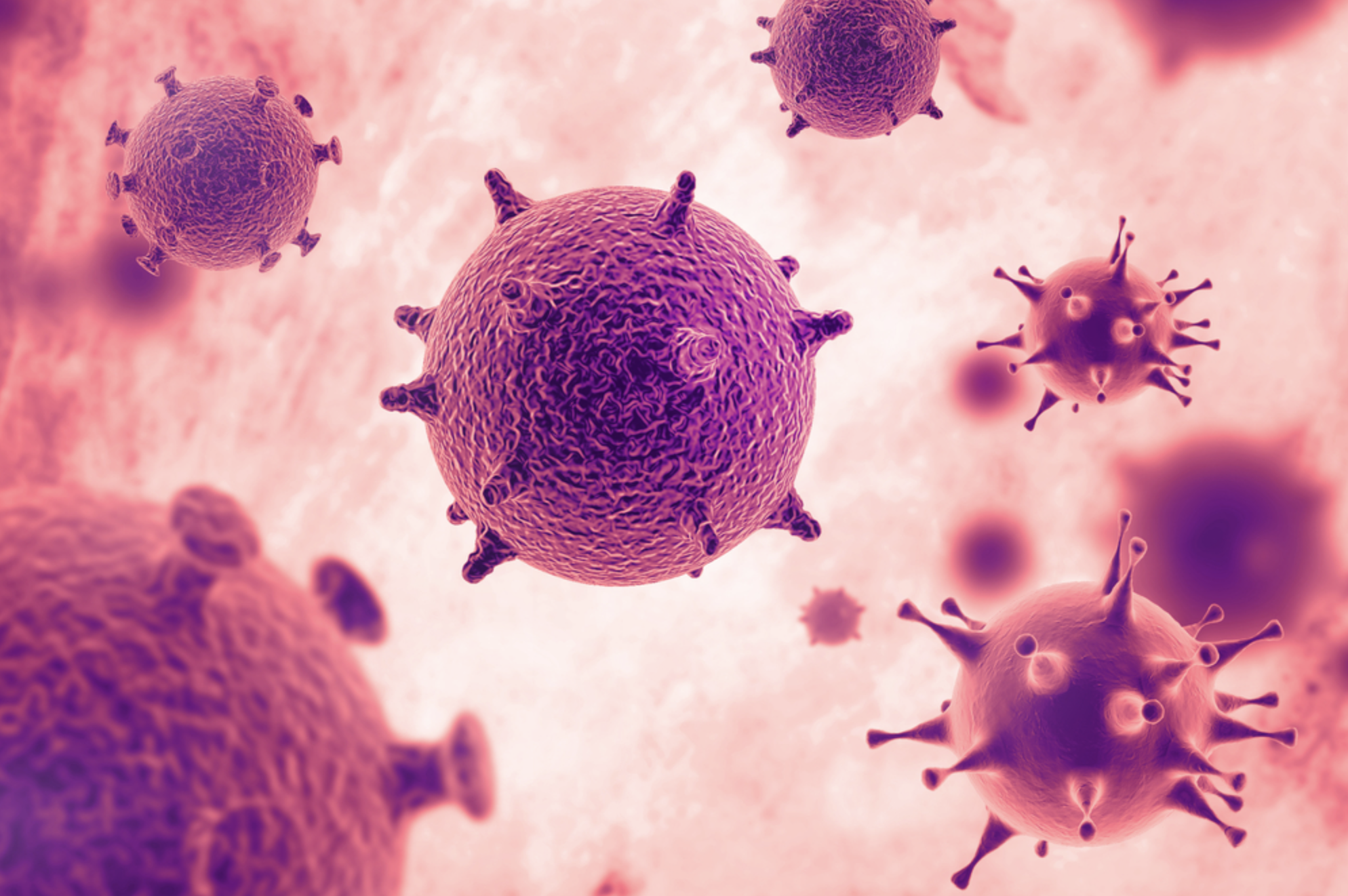 Human Coronavirus NL63 (E. coli).png