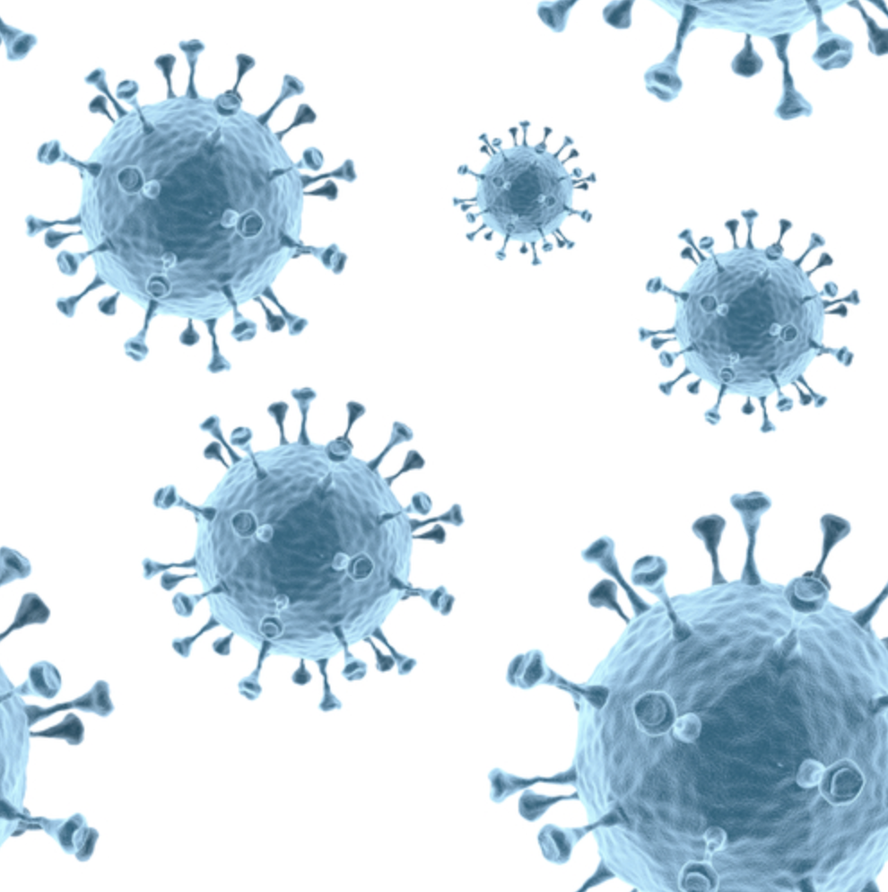 MERS Coronavirus Spike Glycoprotein (S1), His-Tag (E. coli).png