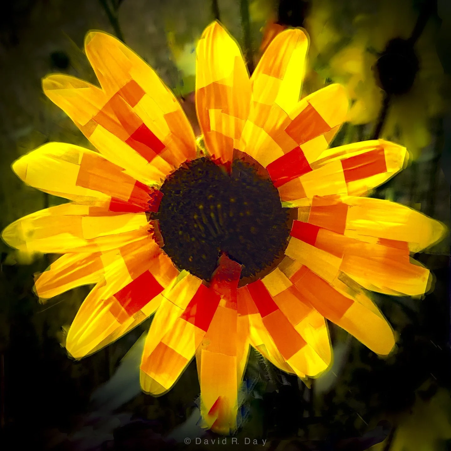 &quot;Becoming Susan&quot;