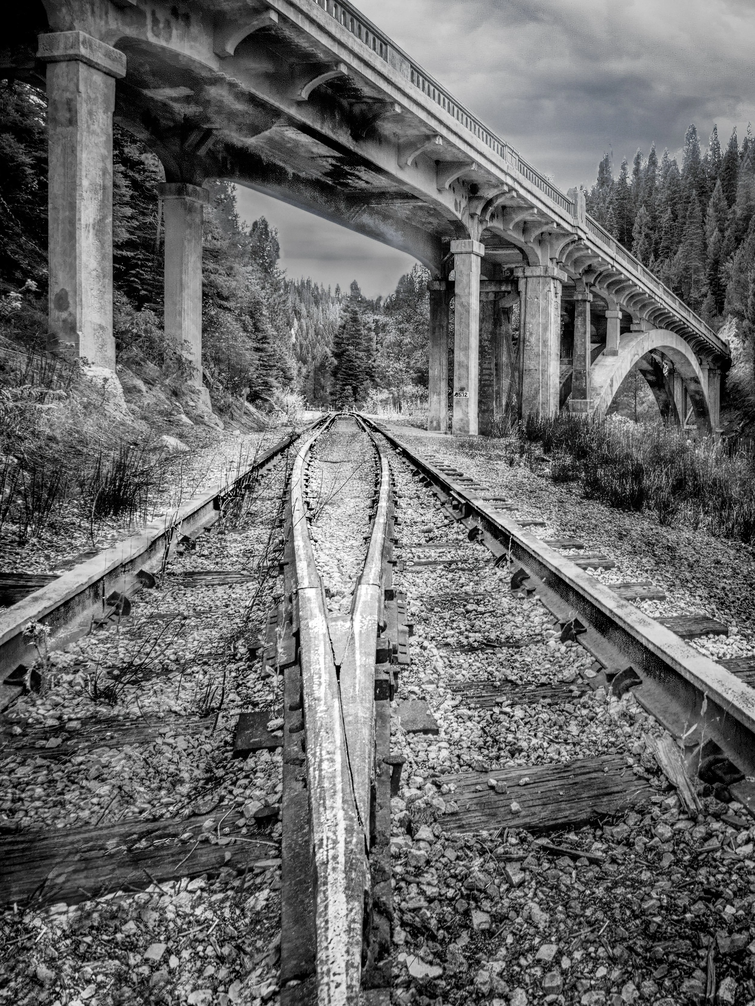 Below the rainbow_Photo_15_18x24 copy-Enhanced-SR-Edit.jpg