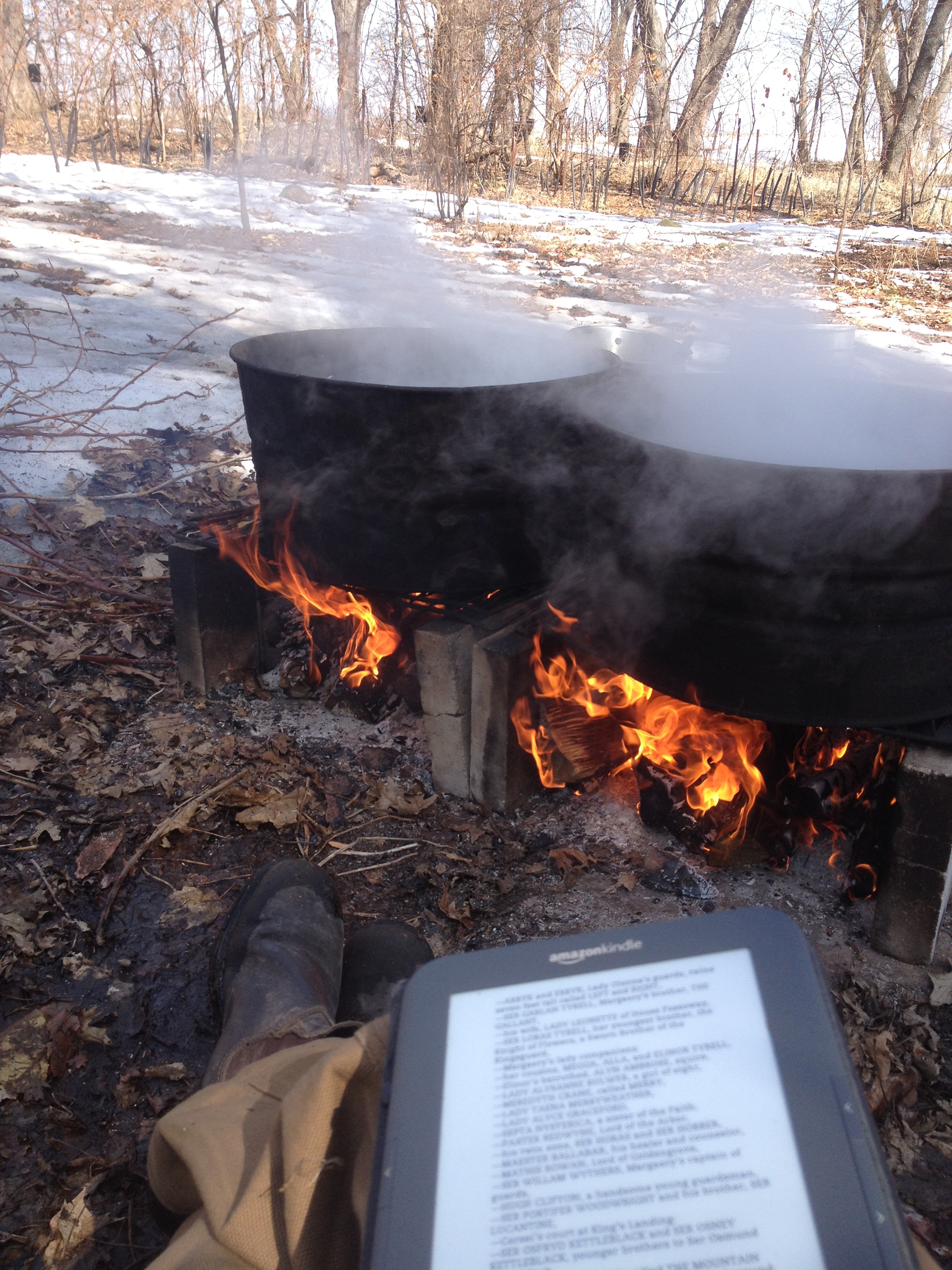 Once you have about 30-45 gallons of sap, it's time to boil! This is usually an all day process and must be done outside over a fire or with a fancy evaporator. On average, it takes about 43 gallons of sap to get 1 gallon of syrup! Sap is usually 2-5% sugar depending on the species and maple syrup isn't considered maple syrup until the water is evaporated until it's about 66% sugar.