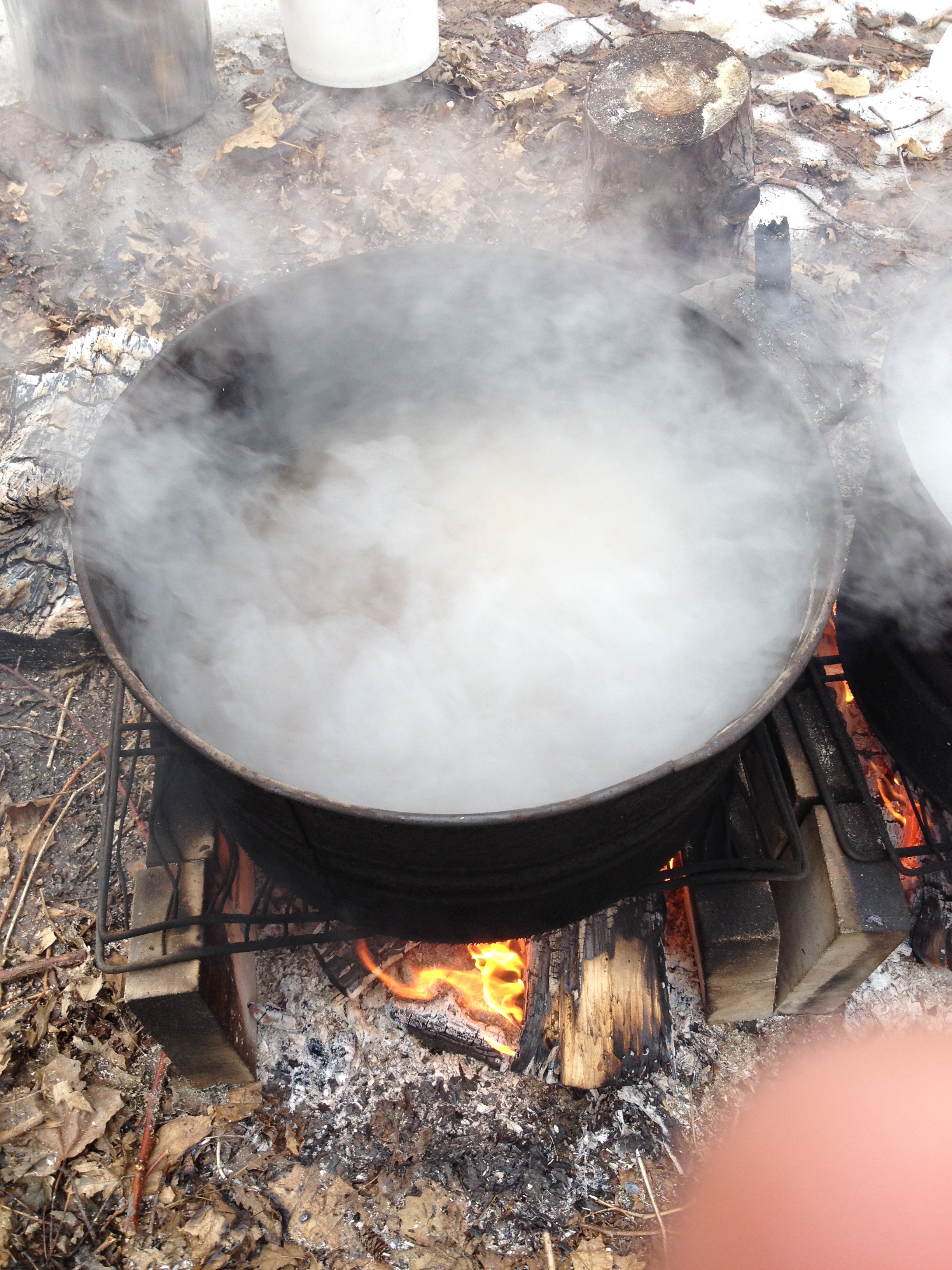 Periodically throughout the day, I continue to add more sap as is boils down until all the sap is in. By the end of the day, it keeps boiling down until there is about 1-2 inches left (any more and you can risk burning it over the fire).
