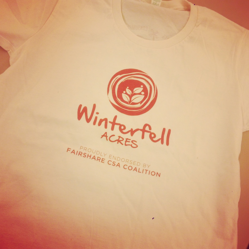 T-shirts came in! If you didn't get an order in- don't worry I am going to order more next winter!