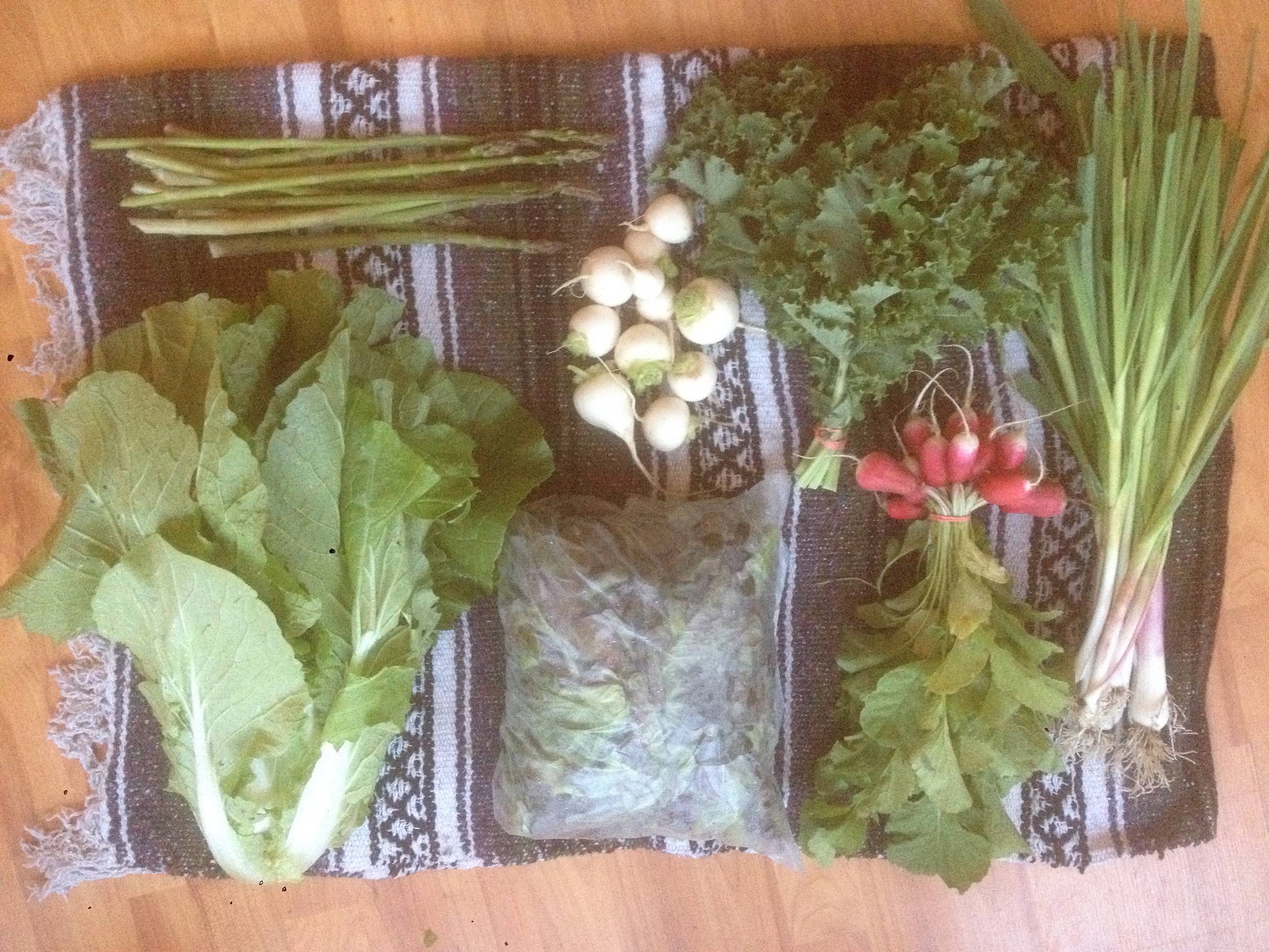 This seasons first CSA share!