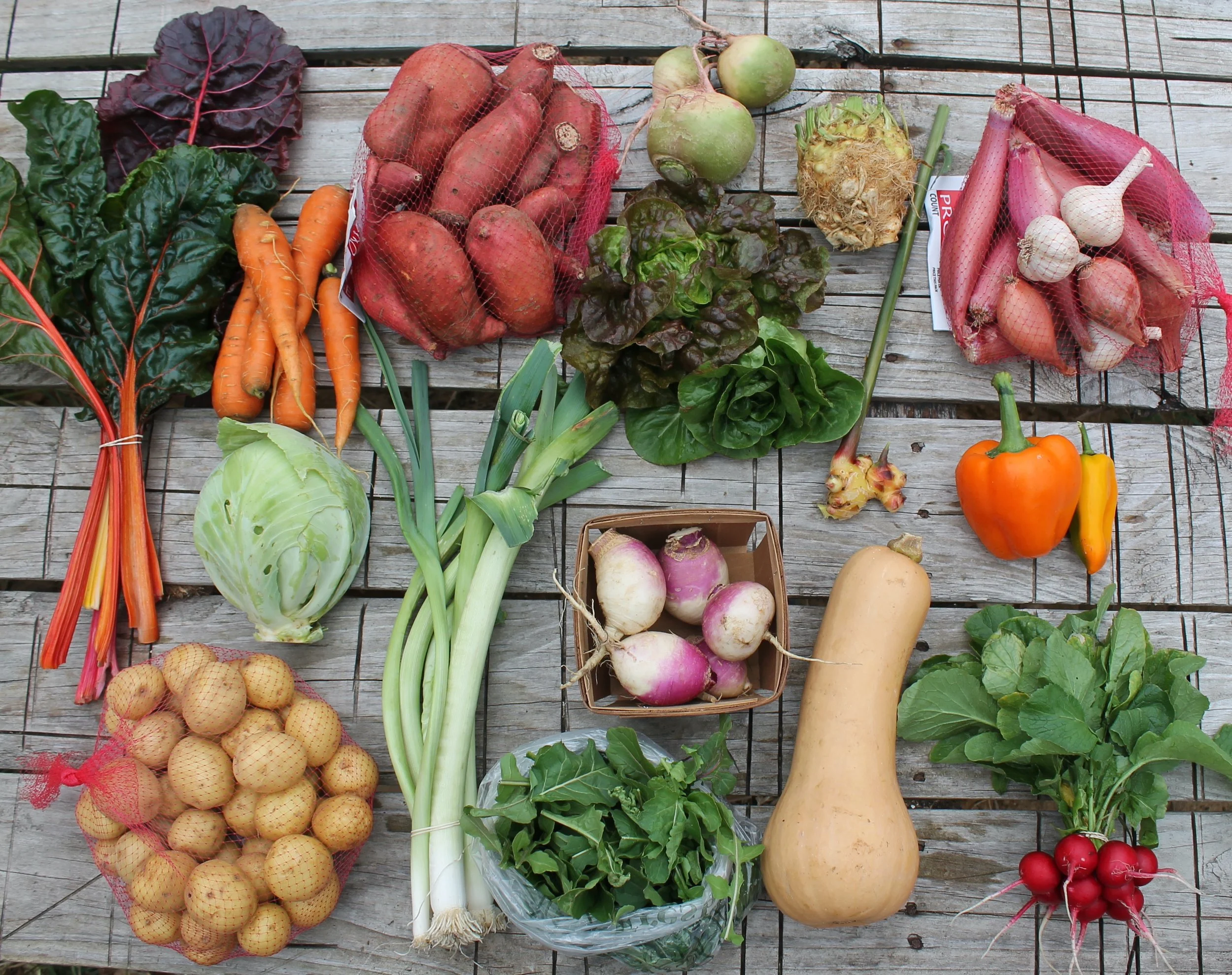 Fall Share Week 2.JPG