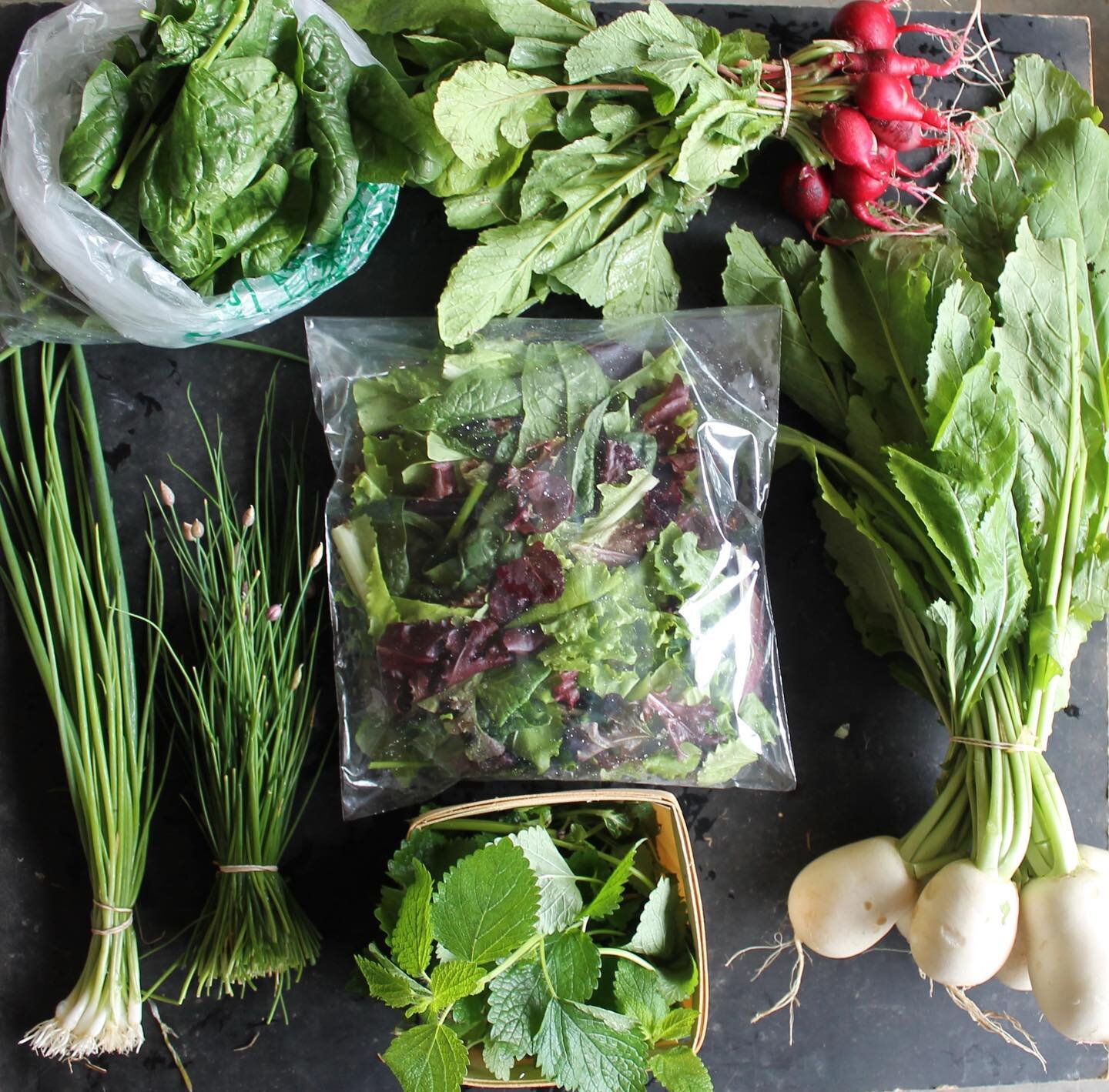 Spring CSA share week one!! How is this happening already?! Ha! Also so gorgeous and full for our first box!