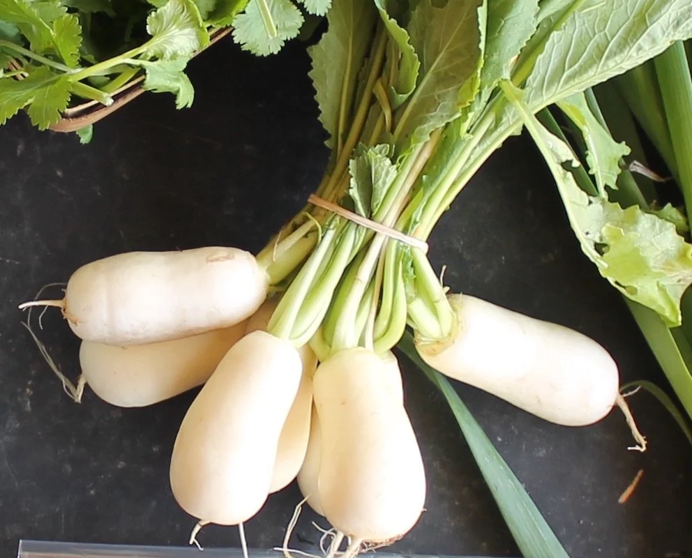 ROASTED TURNIP &amp; MUSHROOM SALAD WITH WHEATBERRIES
