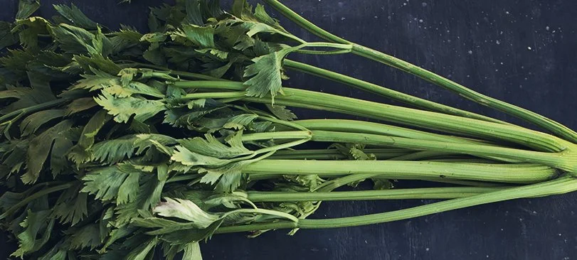 CELERY SALAD WITH LEMON, PARMESAN &amp; WALNUTS