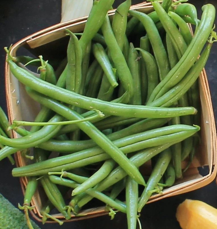 FRESH GARDEN SUPER SALAD
