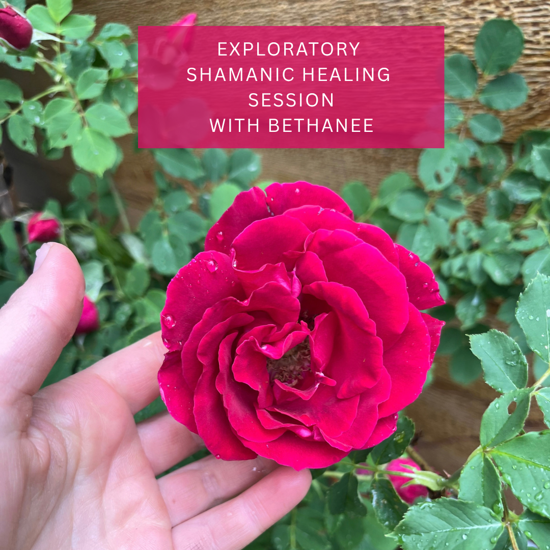 Exploratory Shamanic Healing Session (75 minutes, remote only)