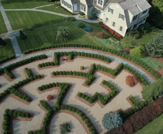 the mayflower grace american poets maze.jpg