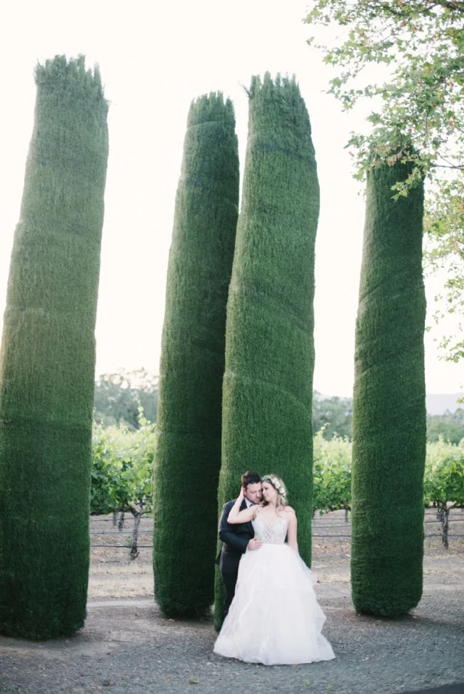 wedding-337_preview.jpeg