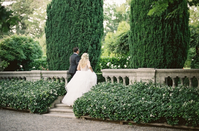 wedding-680_preview.jpeg