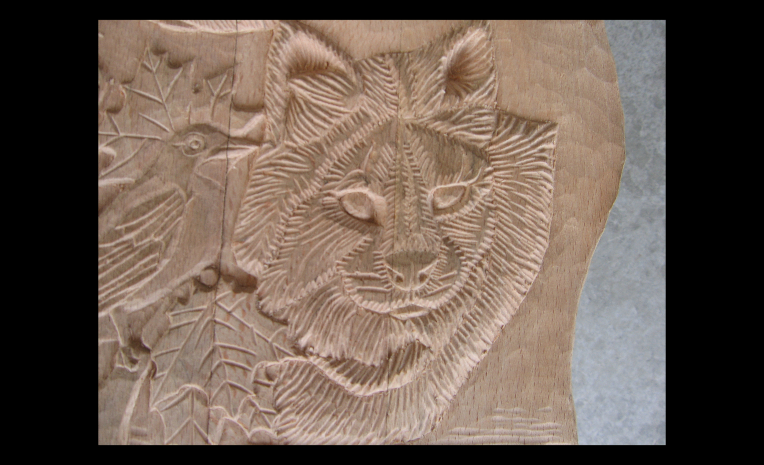 Bobcat_Close Up_WI Chair_3.30.jpg