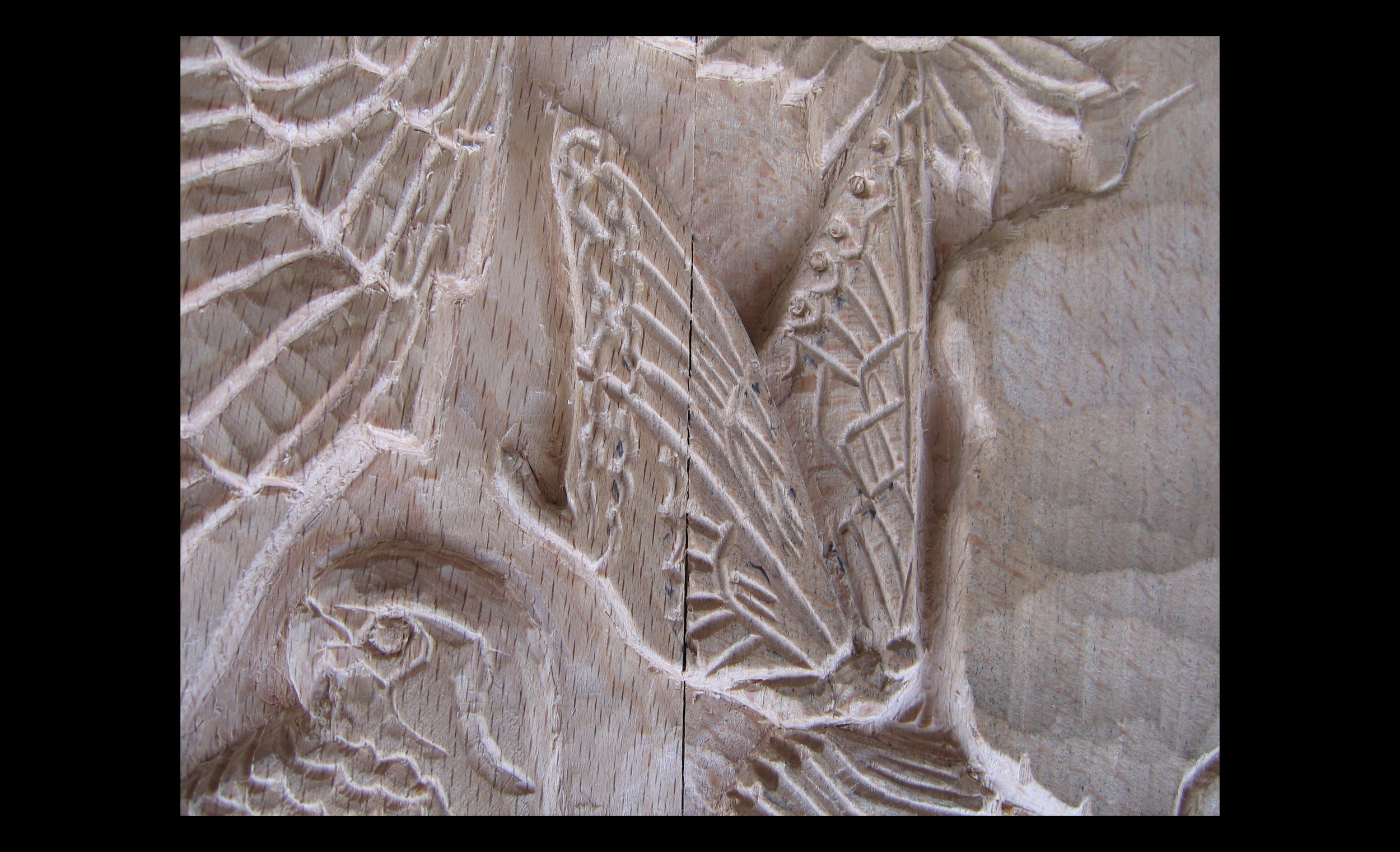 Swallowtail_Close Up_WI Chair_3.30.jpg