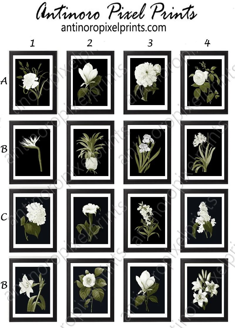 11x14 black and white prints