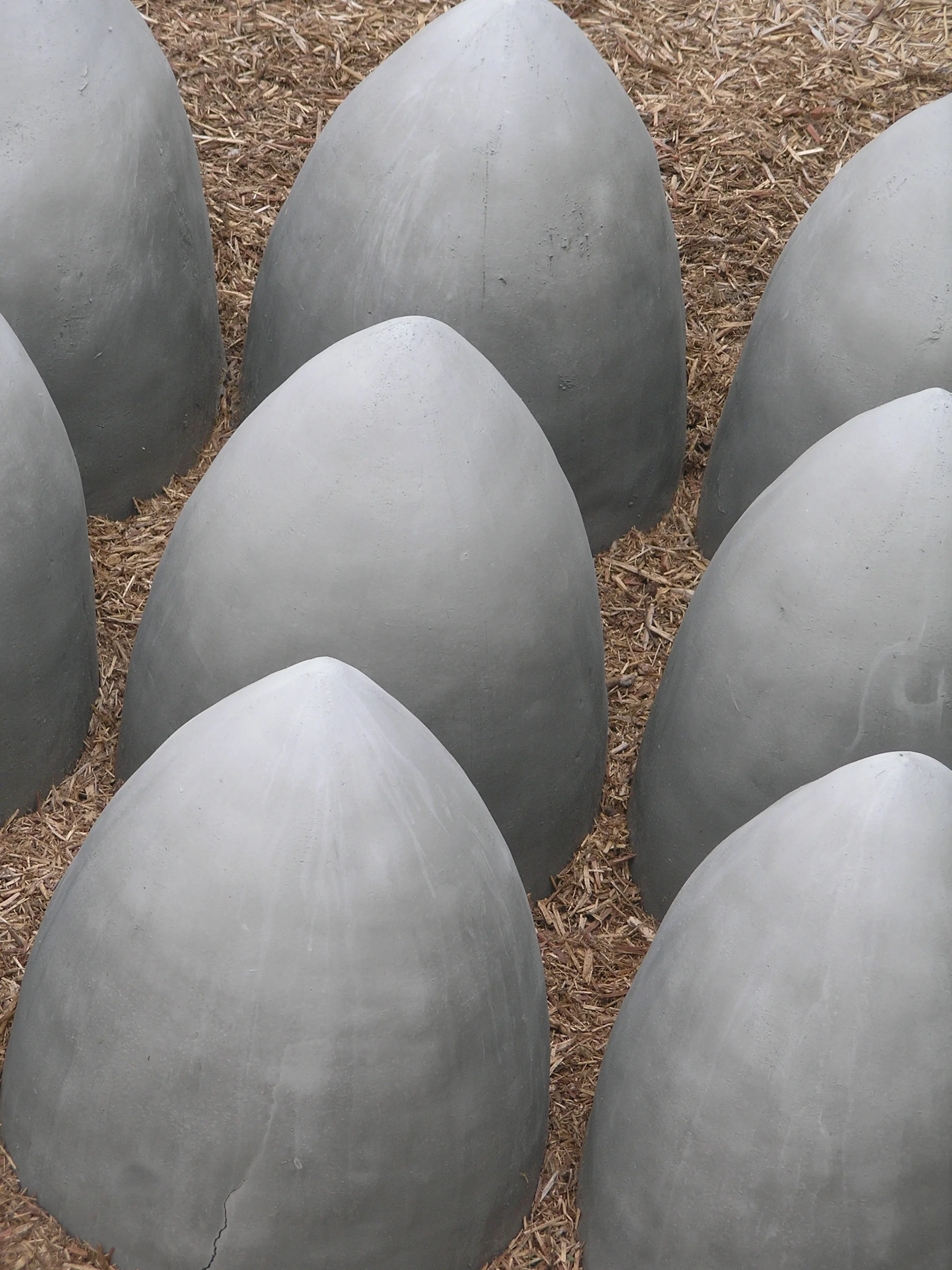 Tempus.  August 2007