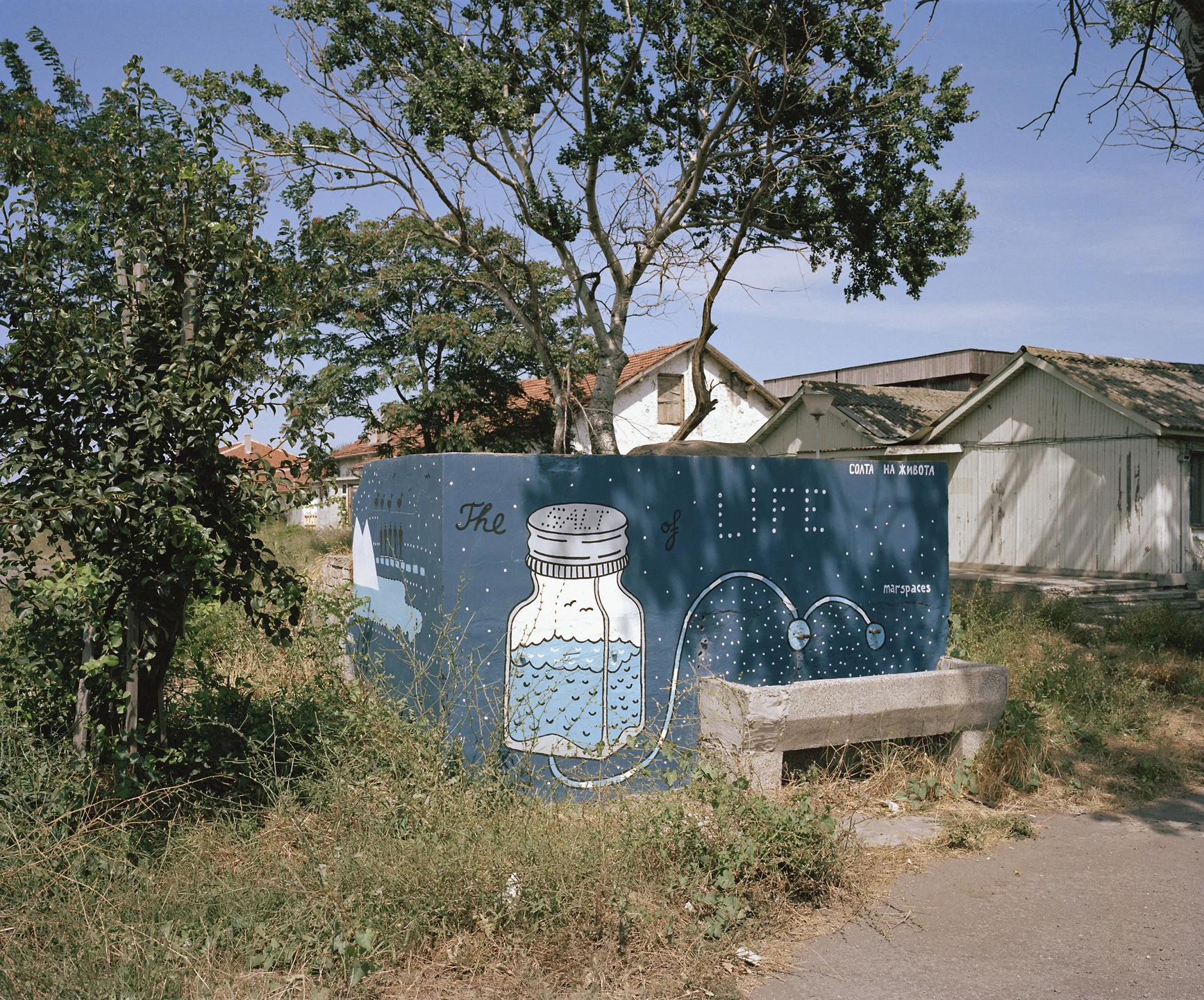  The Salt of Life, Burgas 