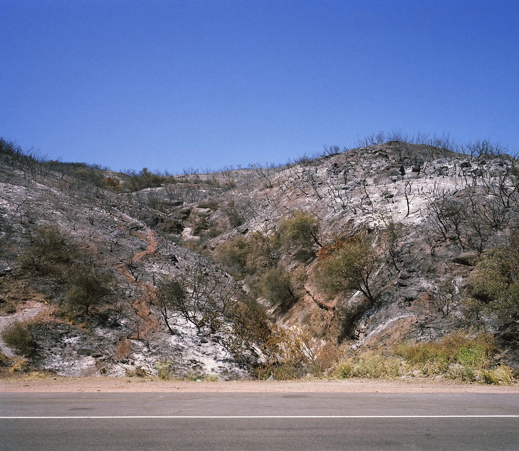  Santa Barbara, California, 2009 