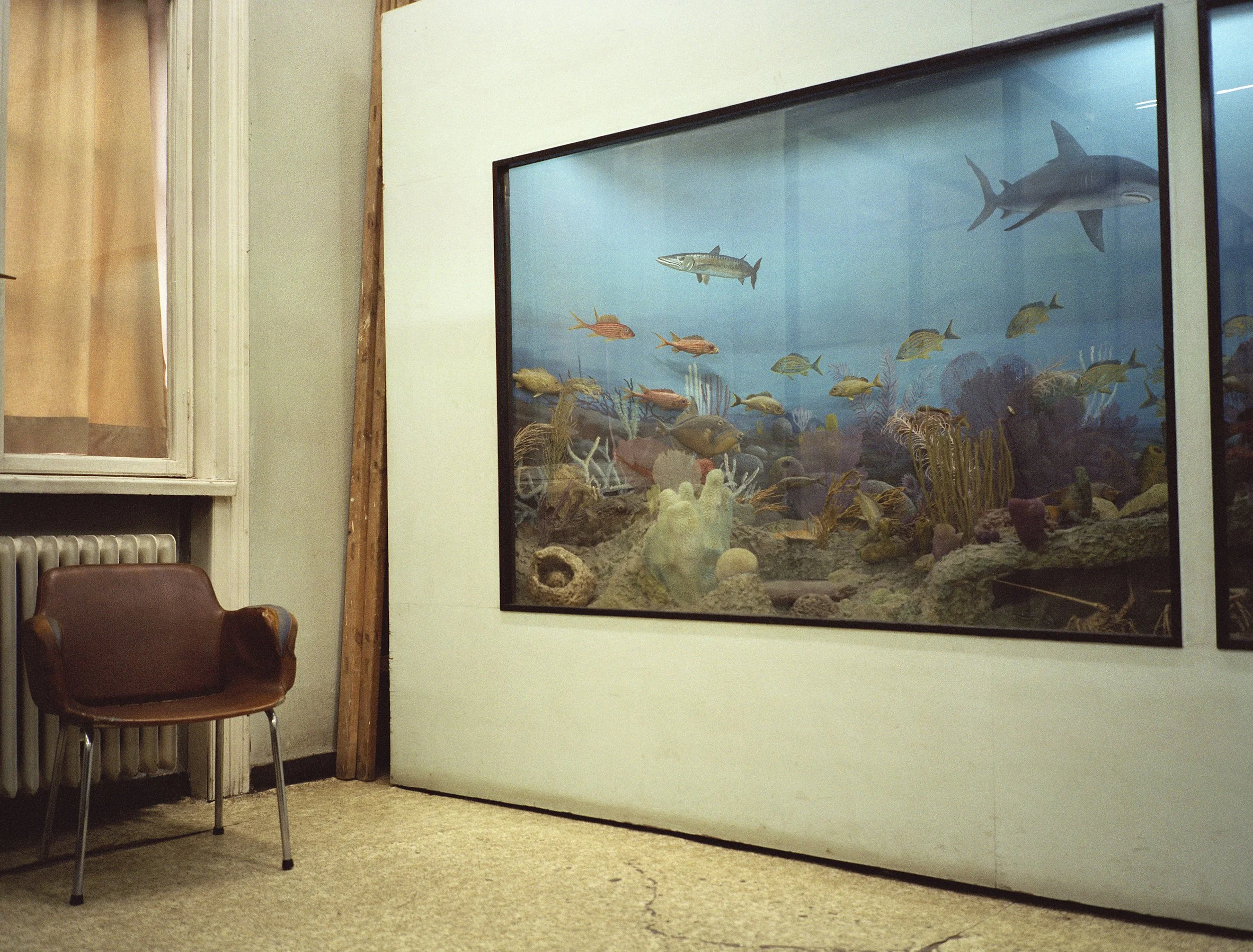  Natural History Museum, Sofia, Bulgaria, 2007 