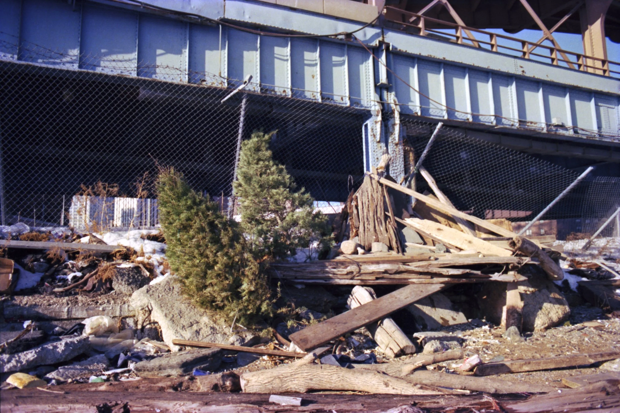  Chris Piper’s shelter/sculpture with Christmas trees, January 1996 