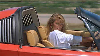A Part of the Rest Vintage Style Nostalgia_Christie_Brinkley_Lampoons_2.jpg